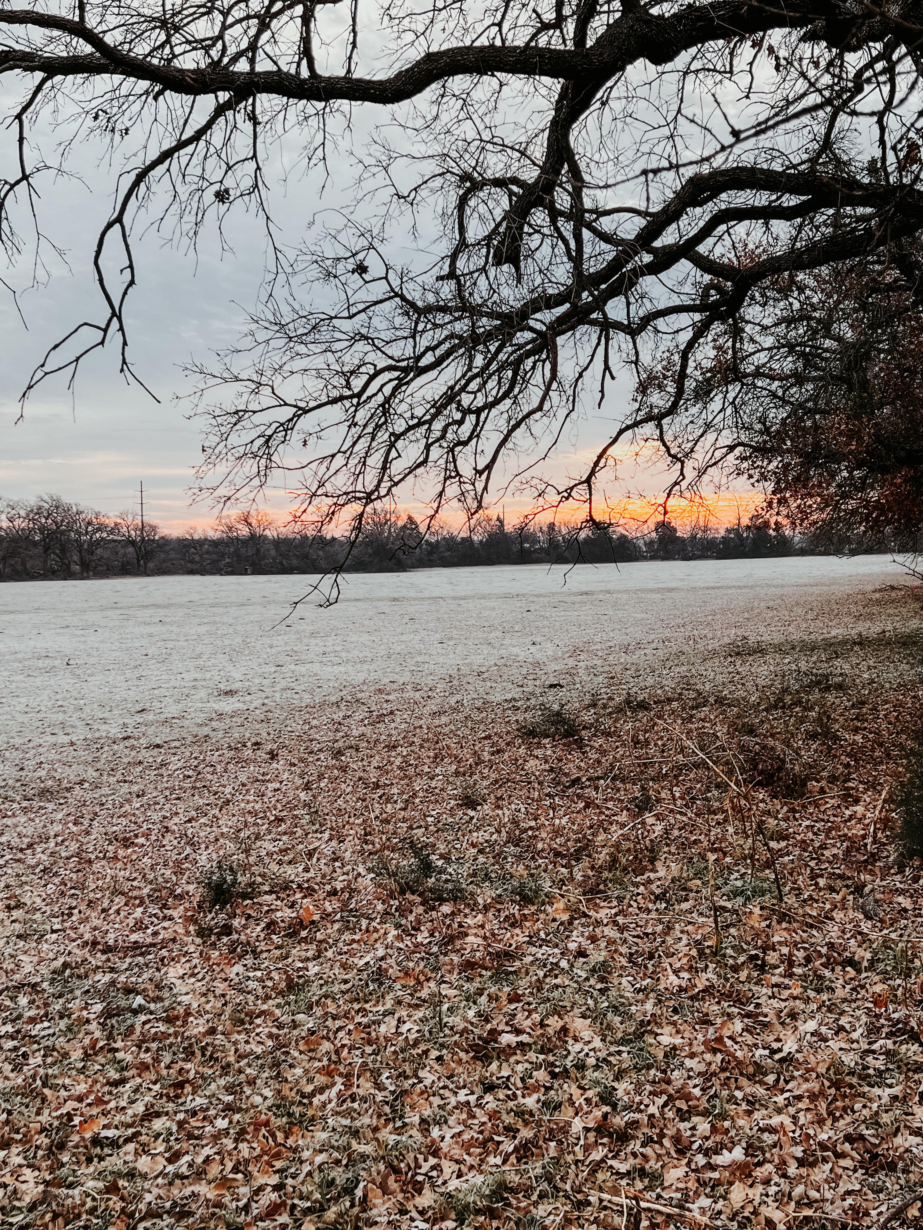 remember, there is beauty in every season