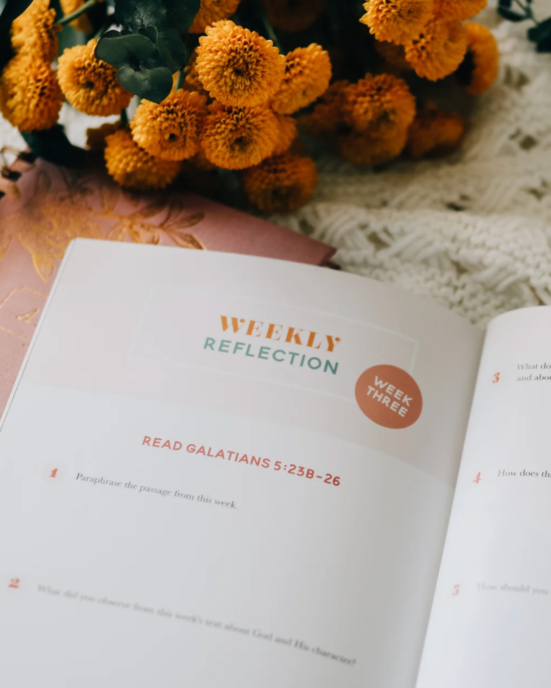 fruit of the Spirit | 3 week study