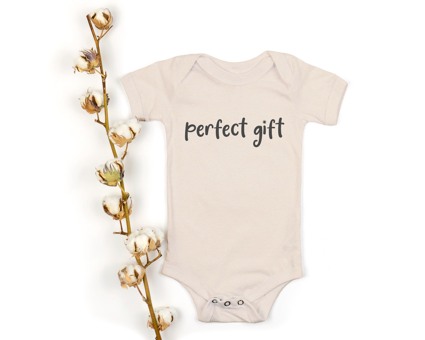 perfect gift onesie